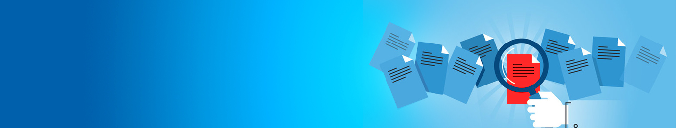 banner of Our IS Offerings