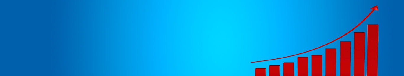 Shareholding Profile